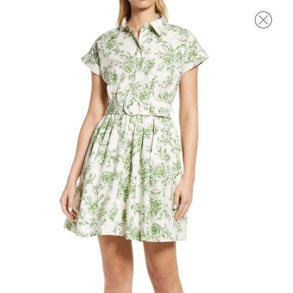 Rachel Parcell Dresses & Skirts - ISO Rachel Parcell Sage Toile Dress
